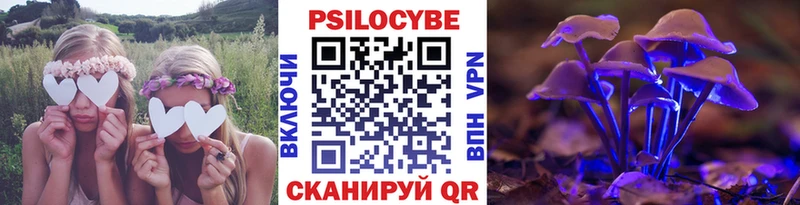 Псилоцибиновые грибы мухоморы цена наркотик Богданович